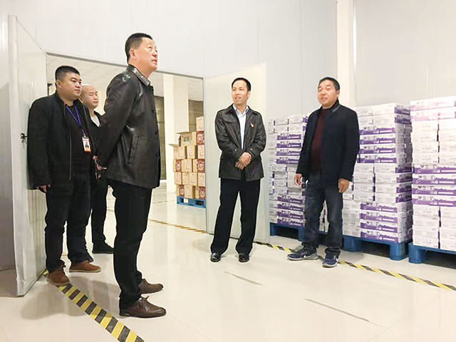 县教体局党委书记樊建华到配送企业督导检查